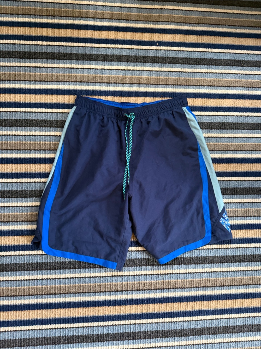 Nike Men’s Navy Blue Swim Shorts with Royal and Light Blue Accents